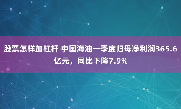 股票怎样加杠杆 中国海油一季度归母净利润365.6亿元，同比下降7.9%
