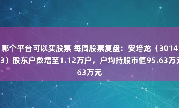 哪个平台可以买股票 每周股票复盘：安培龙（301413）股东户数增至1.12万户，户均持股市值95.63万元