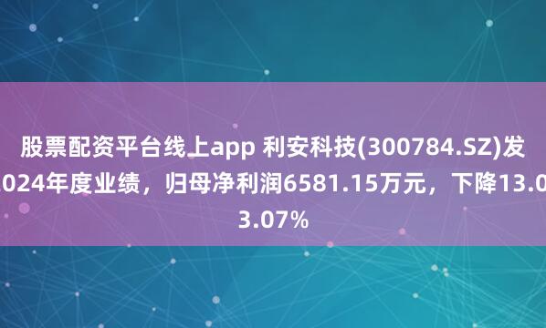 股票配资平台线上app 利安科技(300784.SZ)发布2024年度业绩，归母净利润6581.15万元，下降13.07%