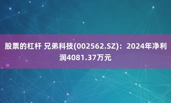 股票的杠杆 兄弟科技(002562.SZ)：2024年净利润4081.37万元