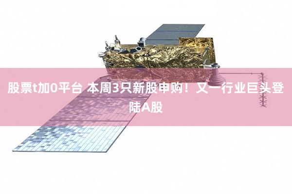股票t加0平台 本周3只新股申购！又一行业巨头登陆A股