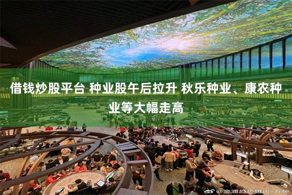 借钱炒股平台 种业股午后拉升 秋乐种业、康农种业等大幅走高