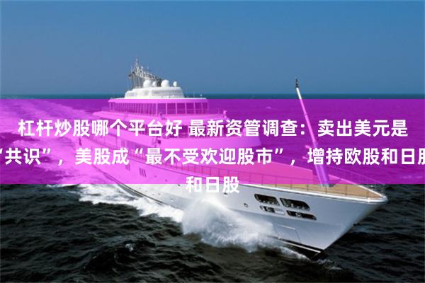 杠杆炒股哪个平台好 最新资管调查：卖出美元是“共识”，美股成“最不受欢迎股市”，增持欧股和日股