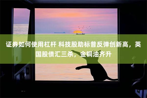 证券如何使用杠杆 科技股助标普反弹创新高，英国股债汇三杀，金铜油齐升